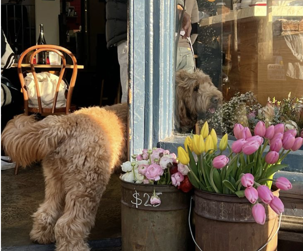 Capture d’écran 2025-10-07 à 16.48.44