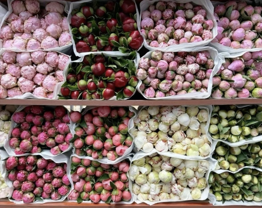 Capture d’écran 2026-01-23 à 14.00.39